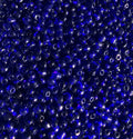 Perles de rocaille bleu roi transparentes 4mm — Mosaic Dream