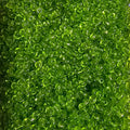 Perles de rocaille vert anis transparentes 4mm — Mosaic Dream